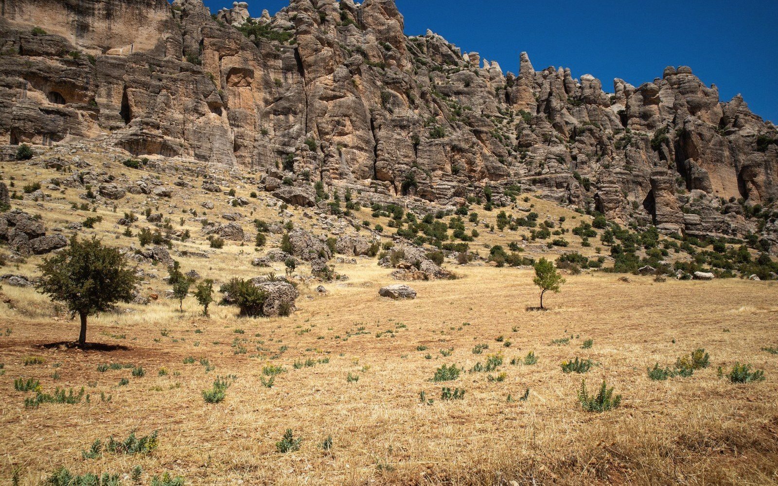 Jagged rocky cliffs rise above a dry grassy valley with scattered trees and shrubs