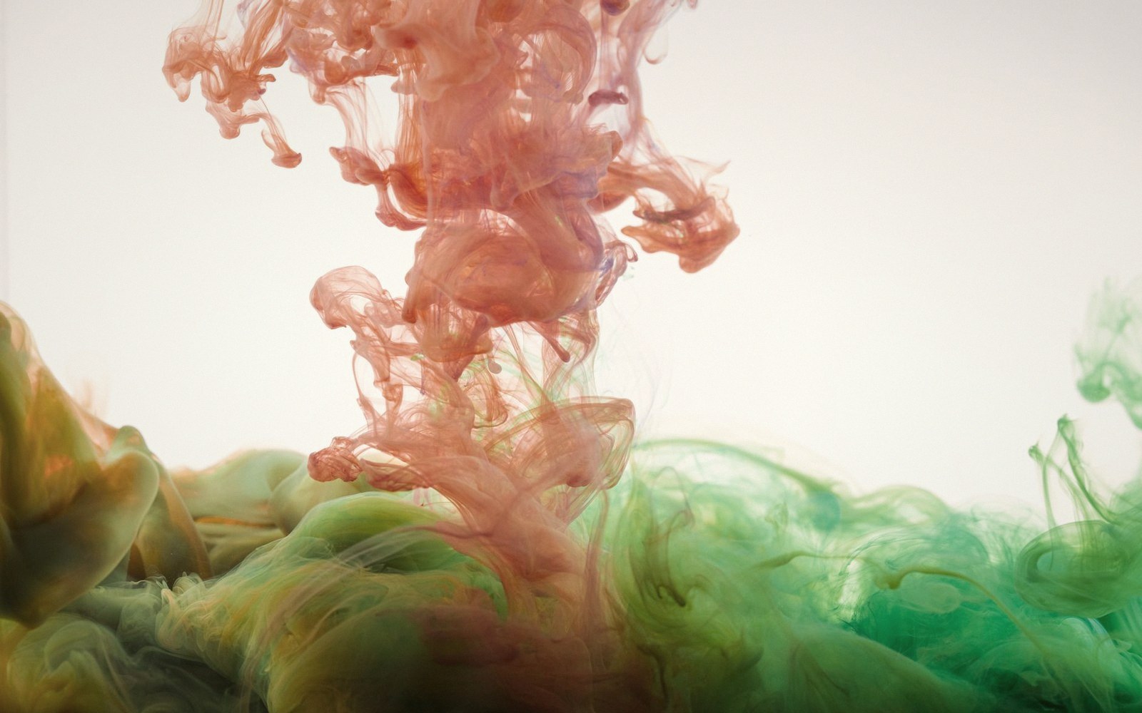 Pink and green dye clouds swirl and billow together in clear water