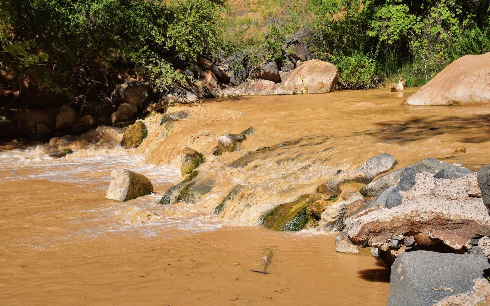 Muddy brown floodwater cascades over rocks between boulders and trees