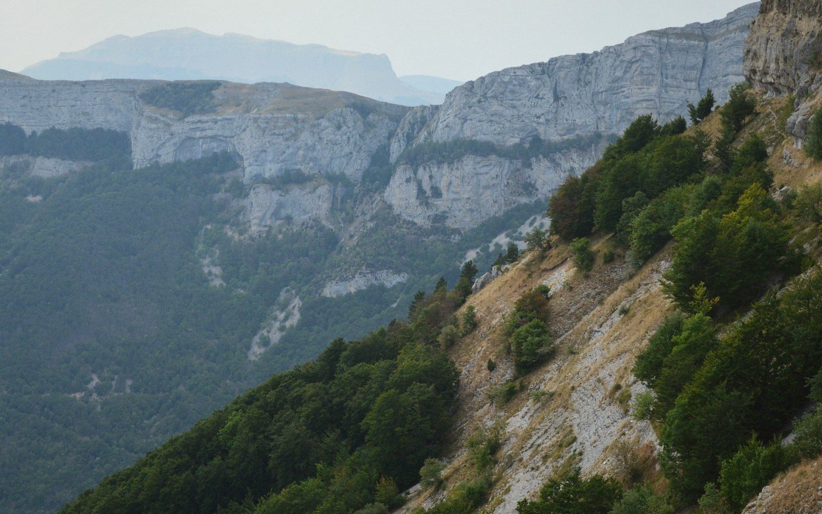 Steep limestone cliffs rise above a forested mountainside dotted with scree and scattered trees
