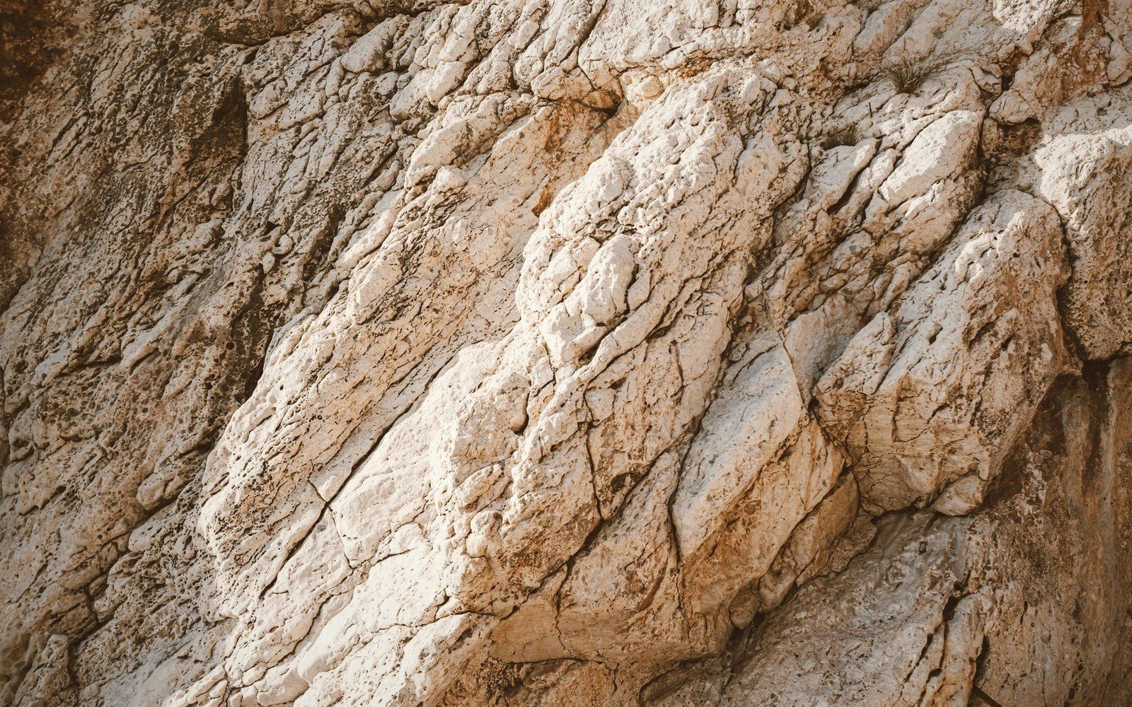 Close-up of jagged limestone rock face with weathered fissures and rust-colored mineral streaks