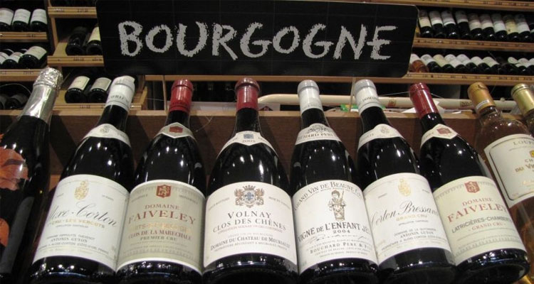 burgundy wine varieties
