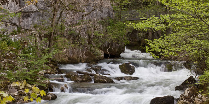 gorges of taubenloch